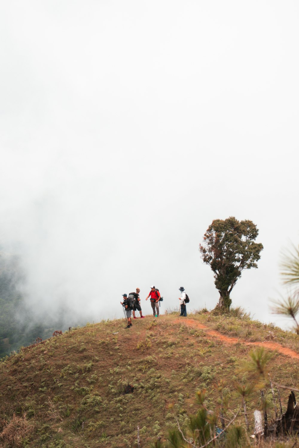 a group of people walking on a hill with fog