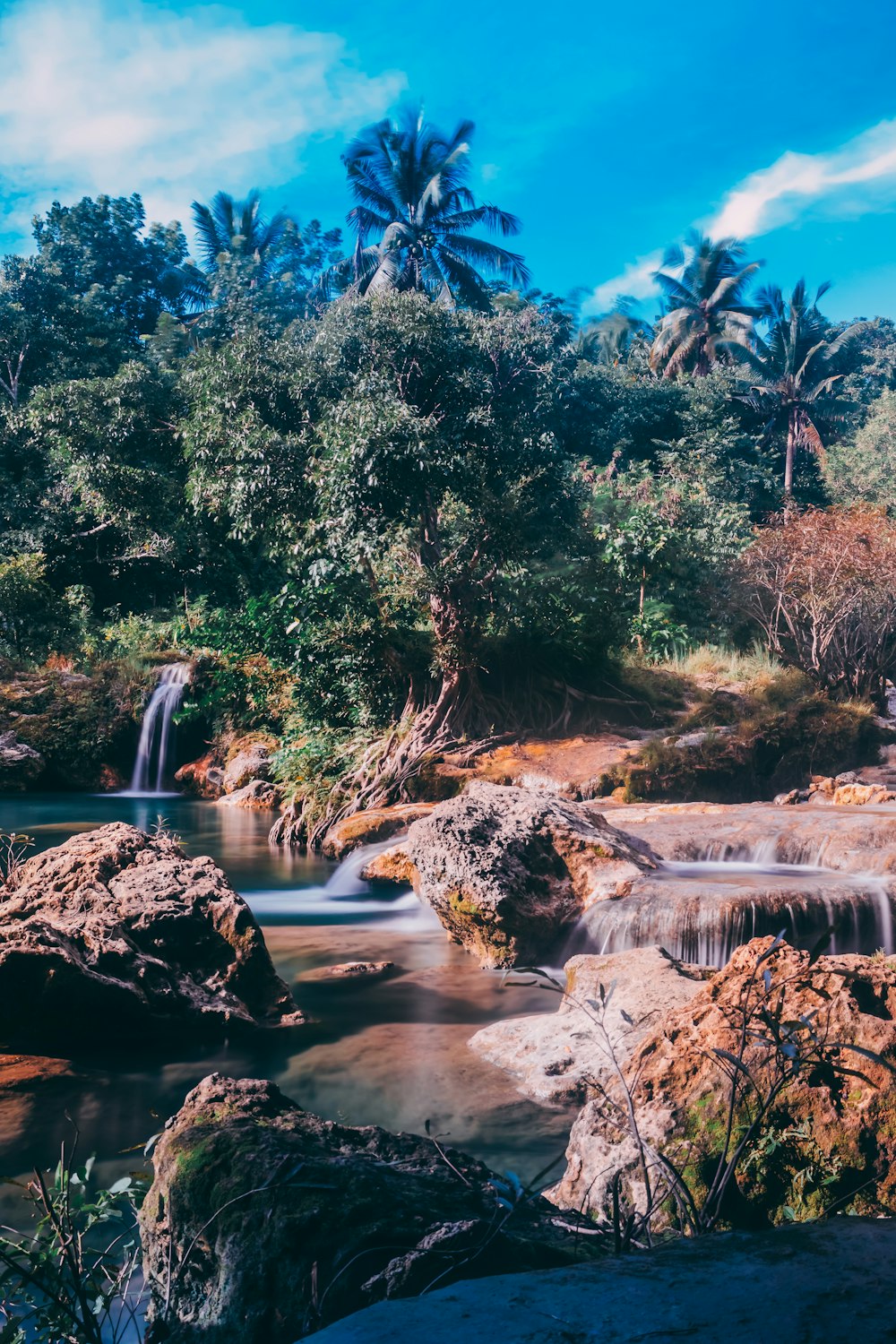 a waterfall surrounded by trees