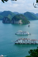 Cruise ships are sailing on tranquil blue-green waters, surrounded by lush green limestone islands. The expansive scene is framed by a bright, cloudy sky and leafy branches in the foreground, creating a peaceful and picturesque maritime landscape.