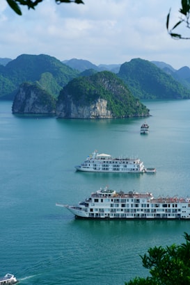 Cruise ships are sailing on tranquil blue-green waters, surrounded by lush green limestone islands. The expansive scene is framed by a bright, cloudy sky and leafy branches in the foreground, creating a peaceful and picturesque maritime landscape.