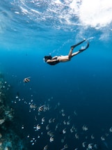 A person wearing snorkeling gear is diving underwater surrounded by a school of striped fish. The diver is moving gracefully above a vibrant coral reef immersed in the deep blue ocean. Bubbles and sunlight filtering through the water create a serene, immersive atmosphere.