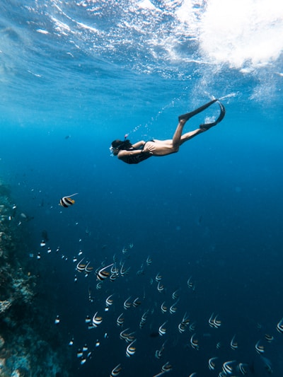 A diver practicing peak performance buoyancy, gracefully hovering above a coral reef.