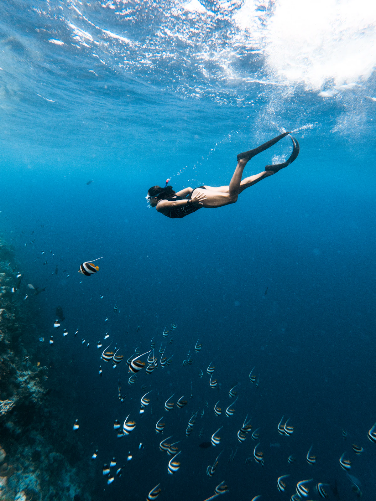 Traveller snorkelling with tropical fish in the Maldives