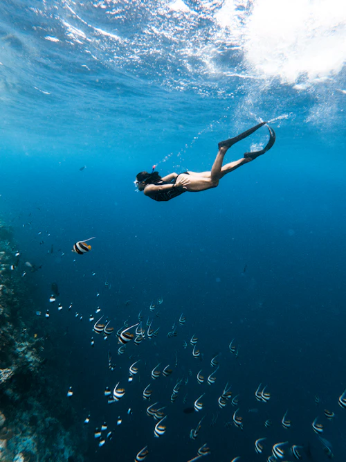 Traveller snorkelling in the Maldives