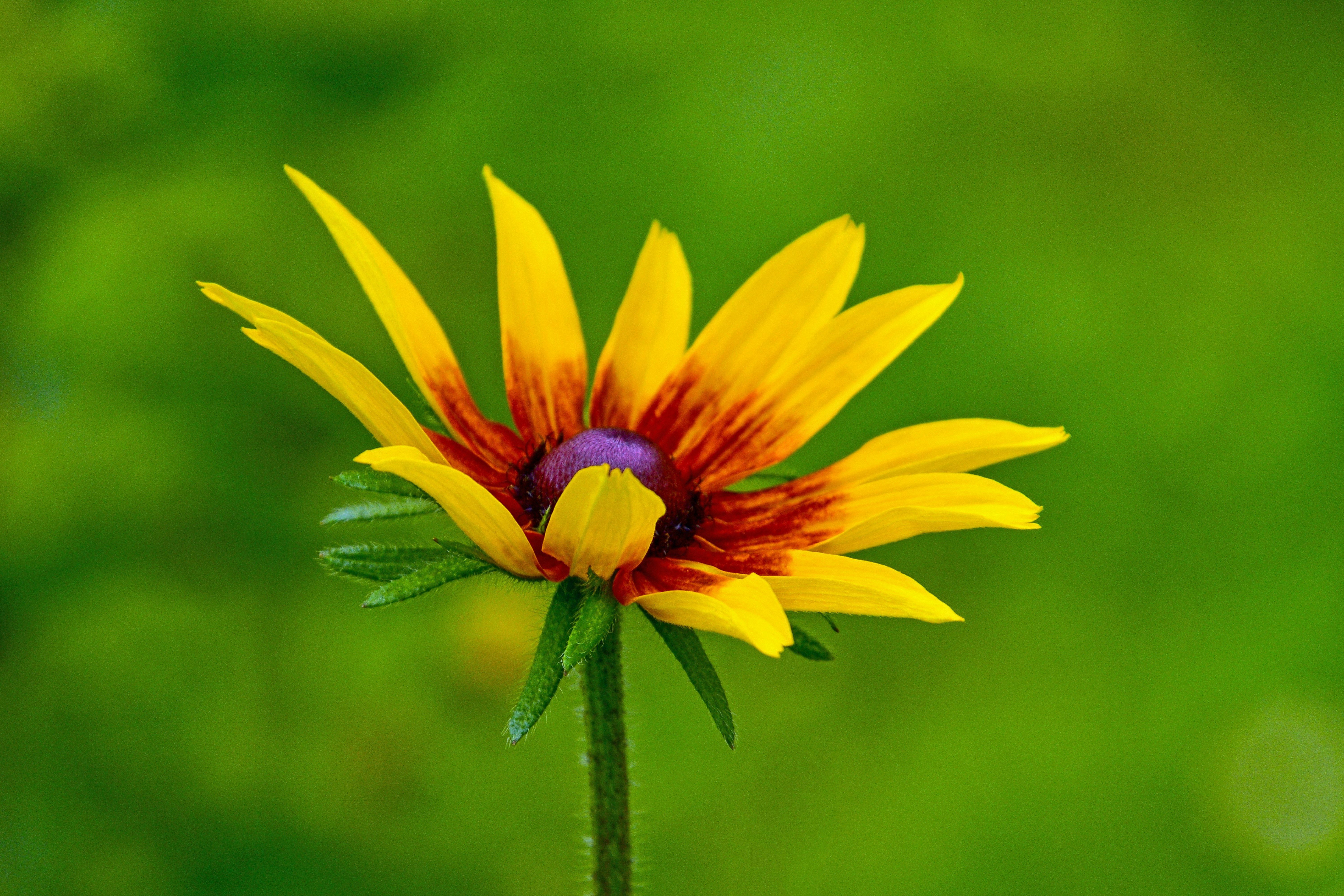 Photo by peepsaluvee