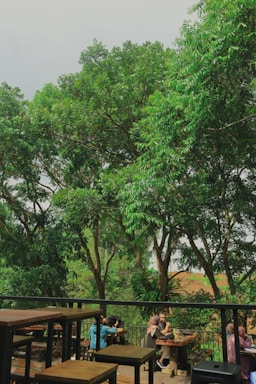 A cozy outdoor seating area with people chatting under leafy trees.