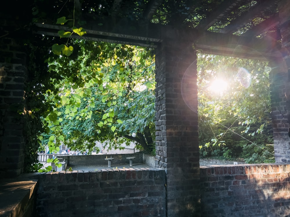 a brick wall with a window and trees outside