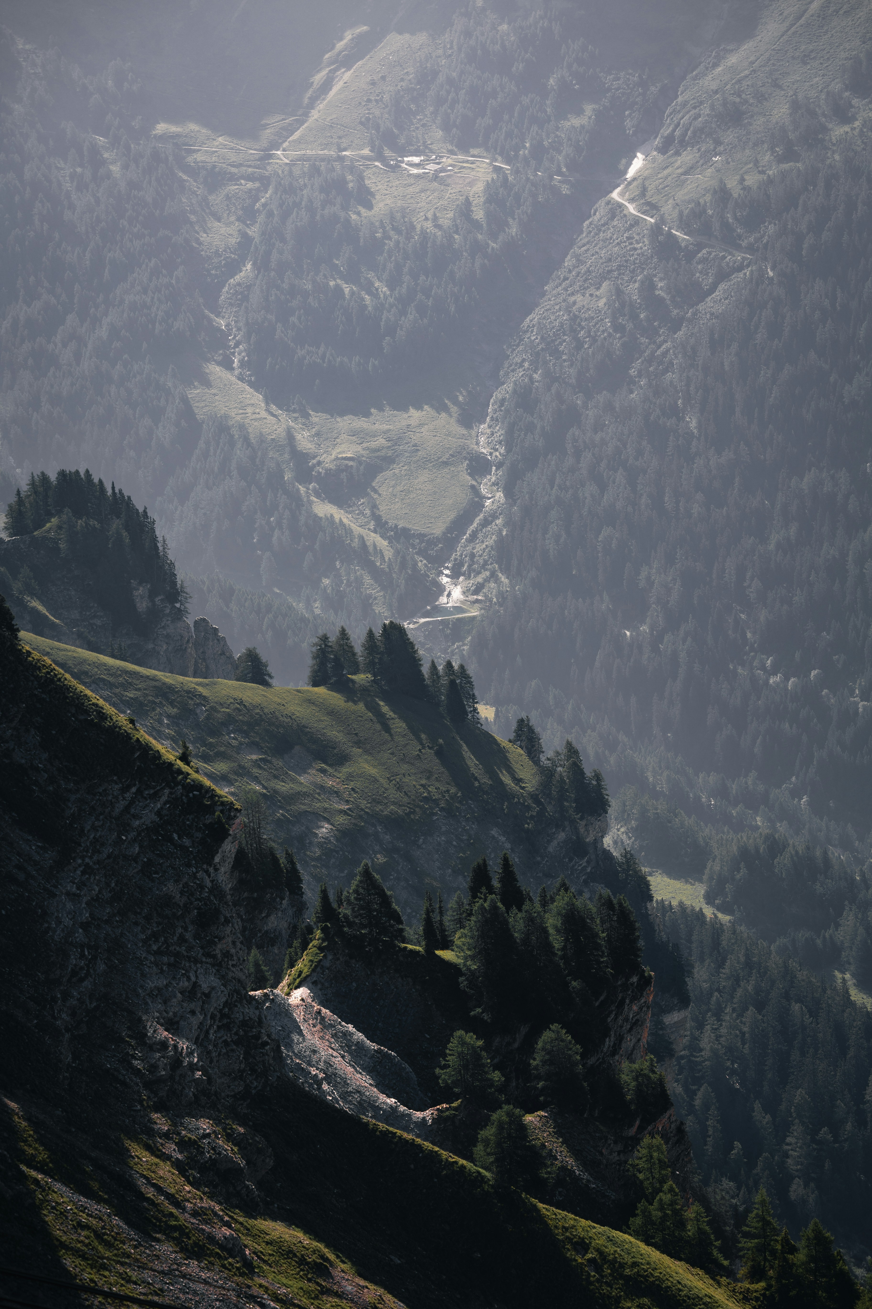 Photo by tersiusvanrhyn