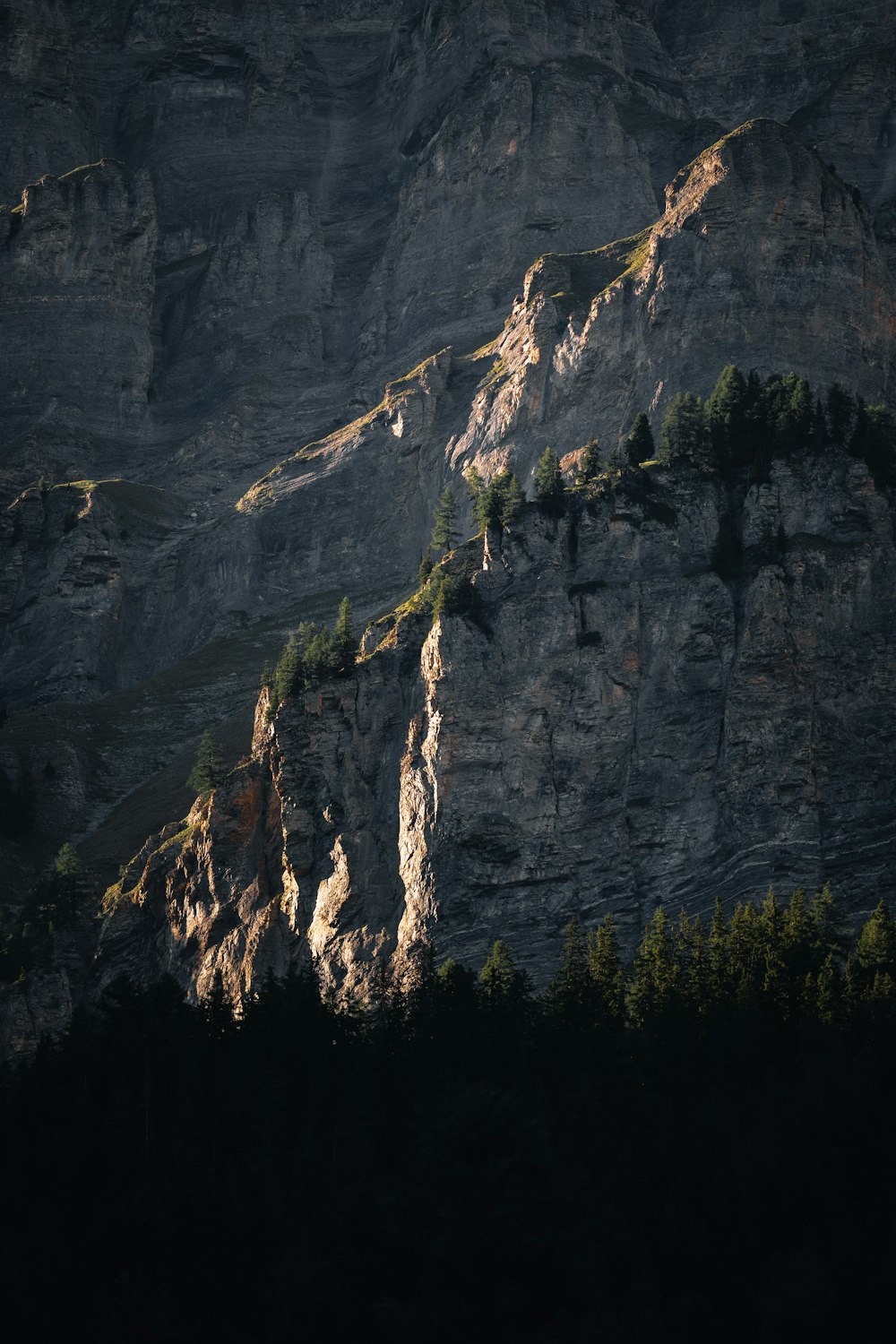 a cliff side with trees