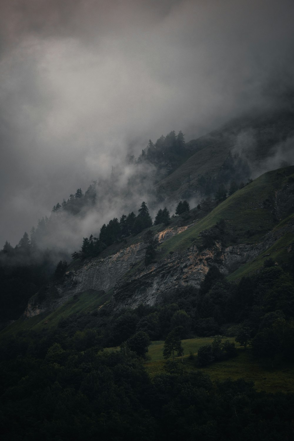 a foggy valley with trees and hills