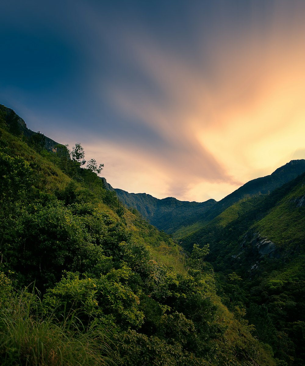 a landscape with trees and hills