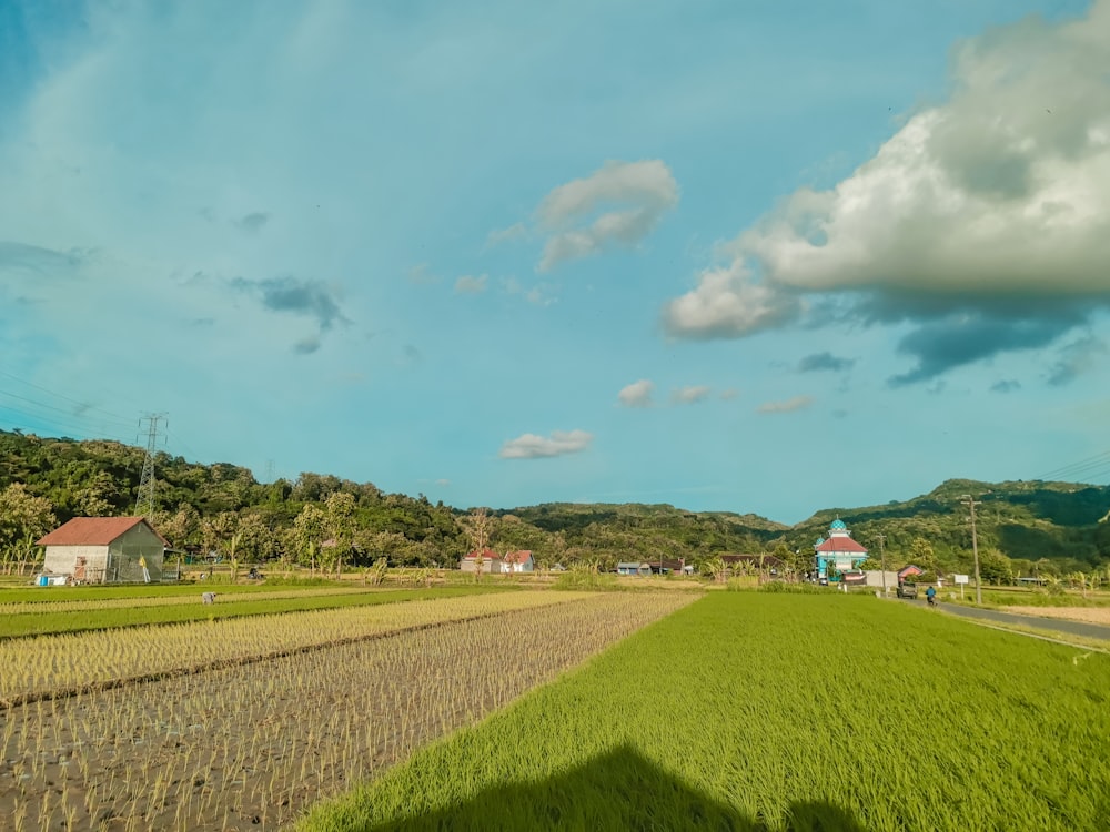 a farm with a few buildings