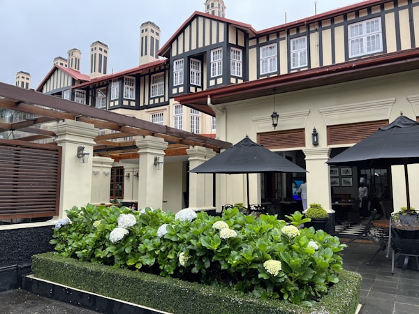 a courtyard with flowers and a building in the background