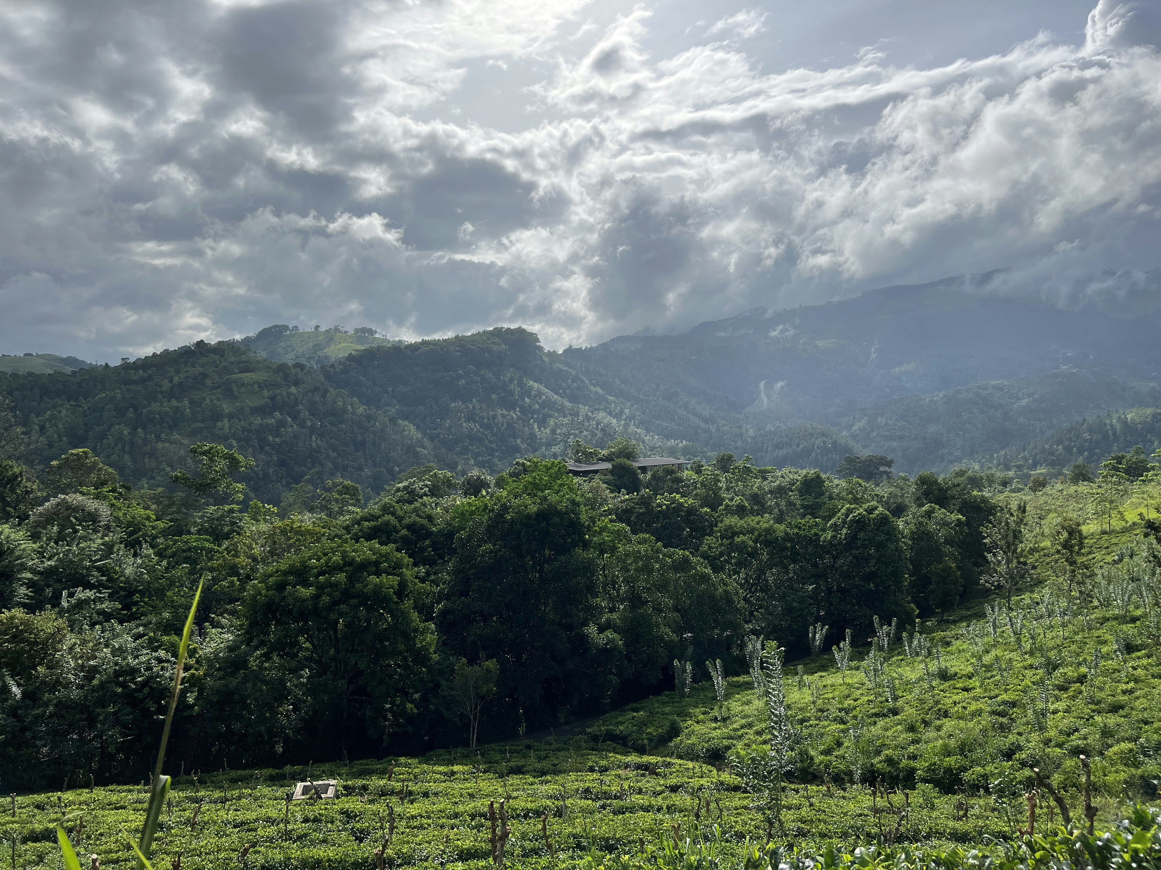 Photo by datingscout