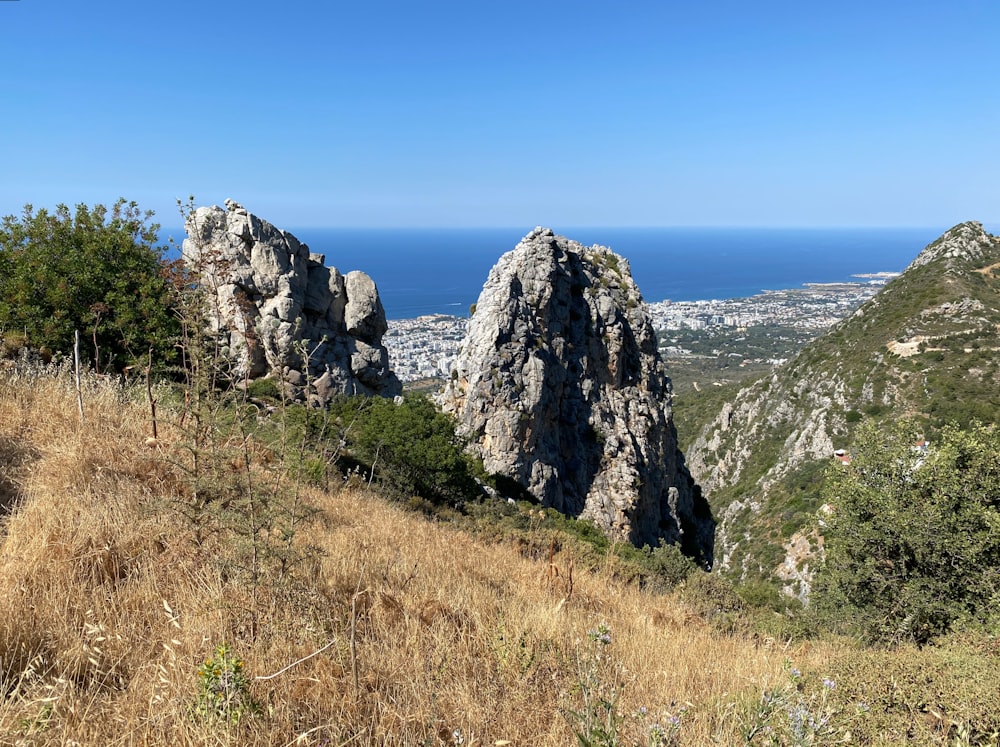 a rocky cliff with trees and grass