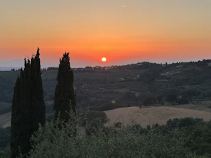 A scenic view from a hilltop overlooking the patchwork of fields and cypress trees at sunset.