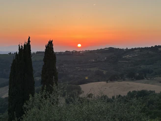 A scenic view from a hilltop overlooking the patchwork of fields and cypress trees at sunset.