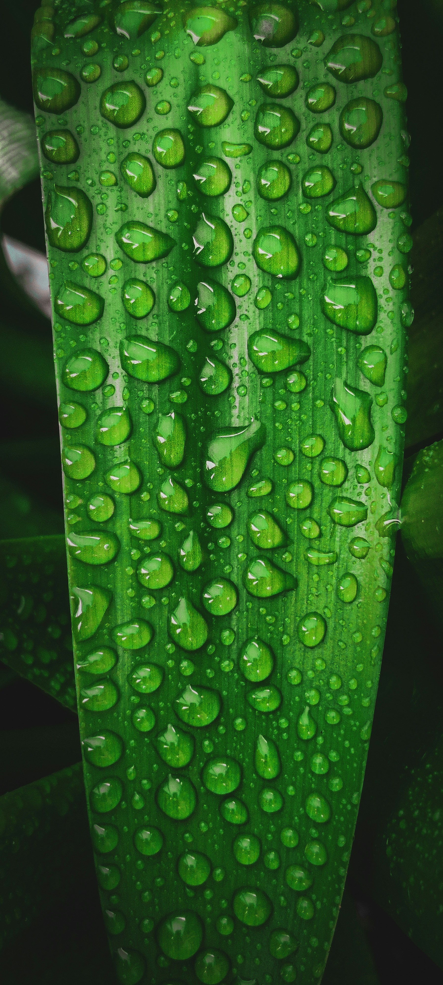 Photo by saksham_goel27