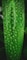 a green leaf with many small holes