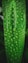 a green leaf with many small holes