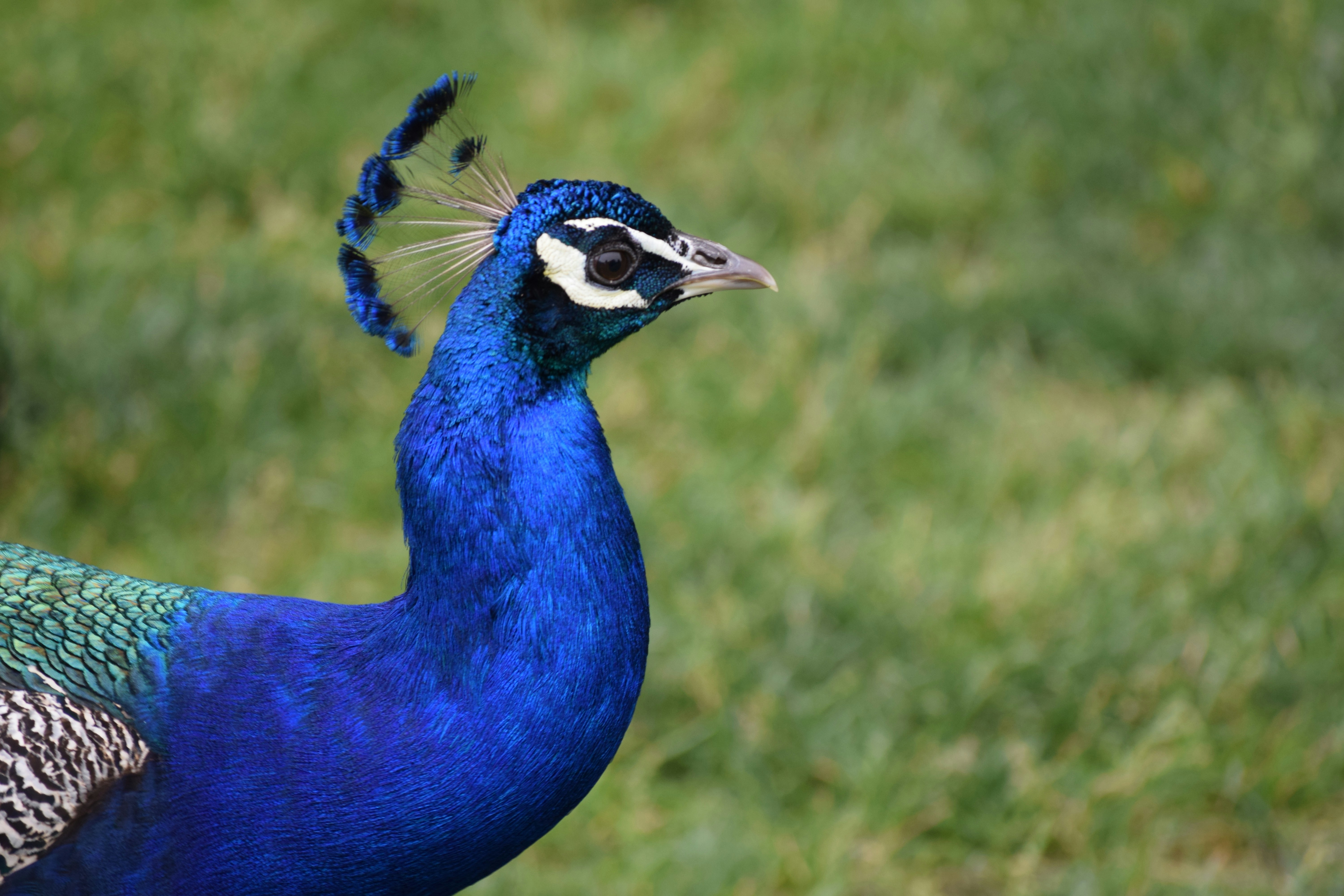 Photo by praswinprakashan