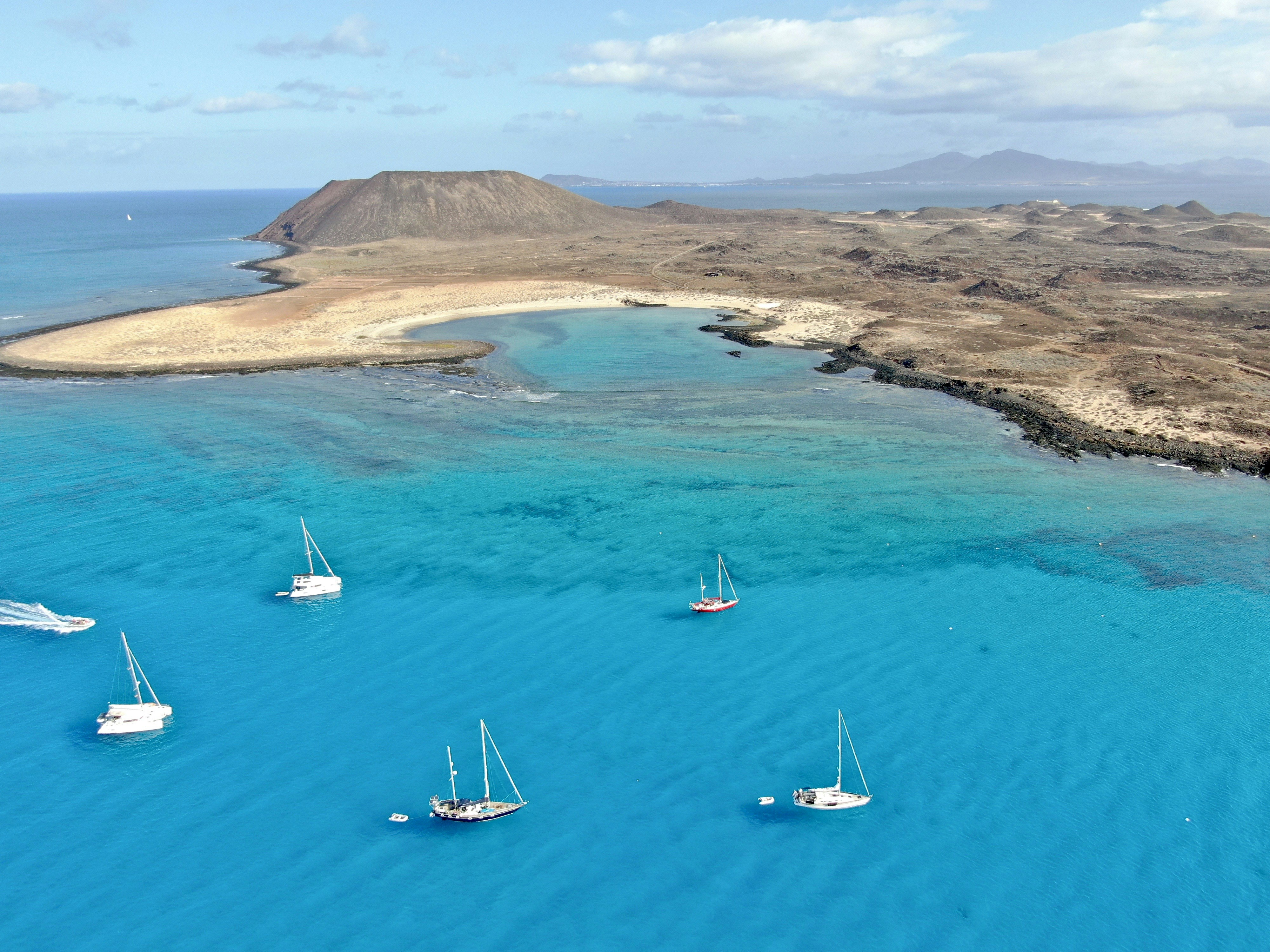 um grupo de barcos em um corpo de água