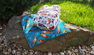 Altar Cloth