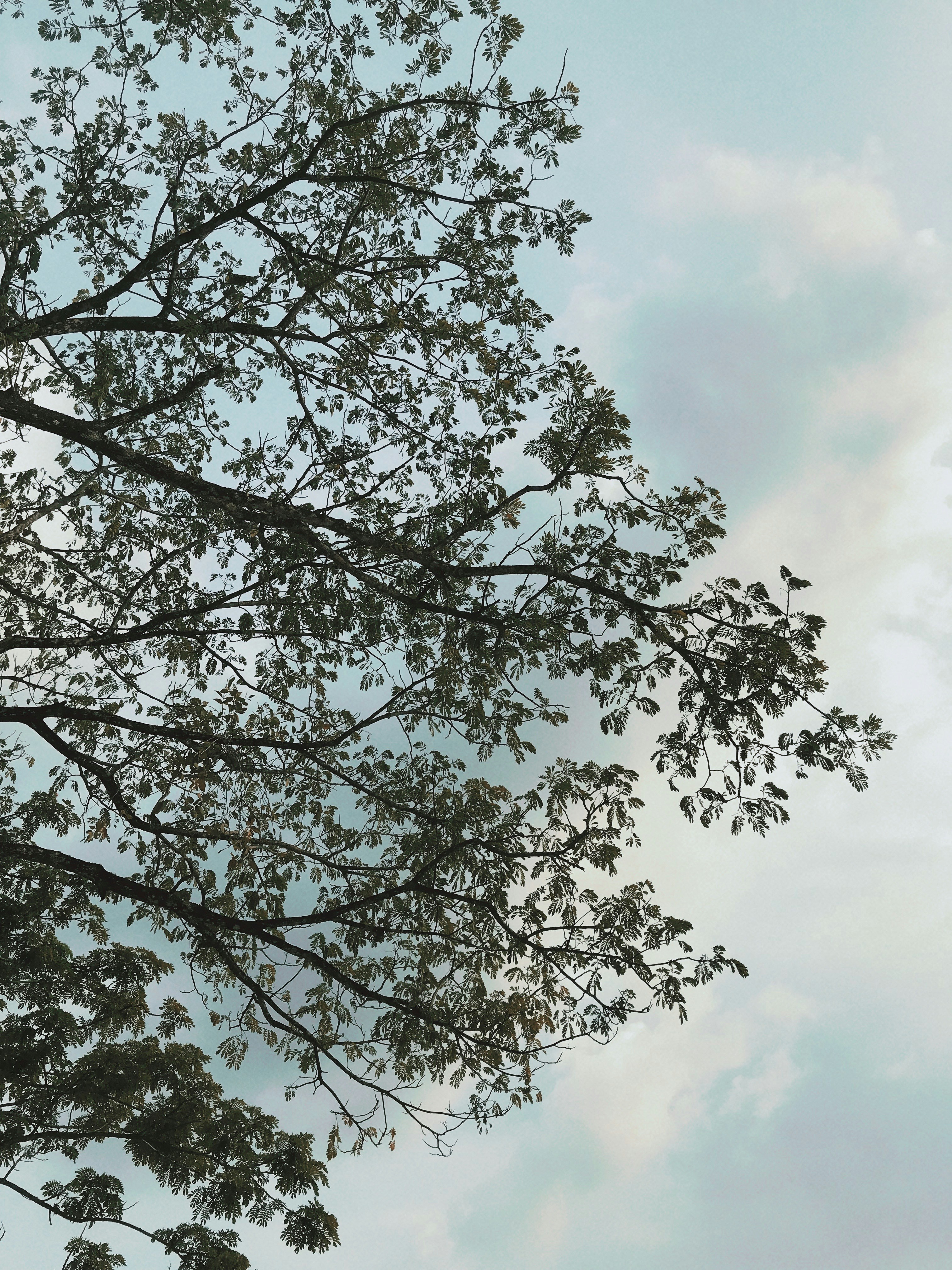 Photo by oanhchuplinhtinh