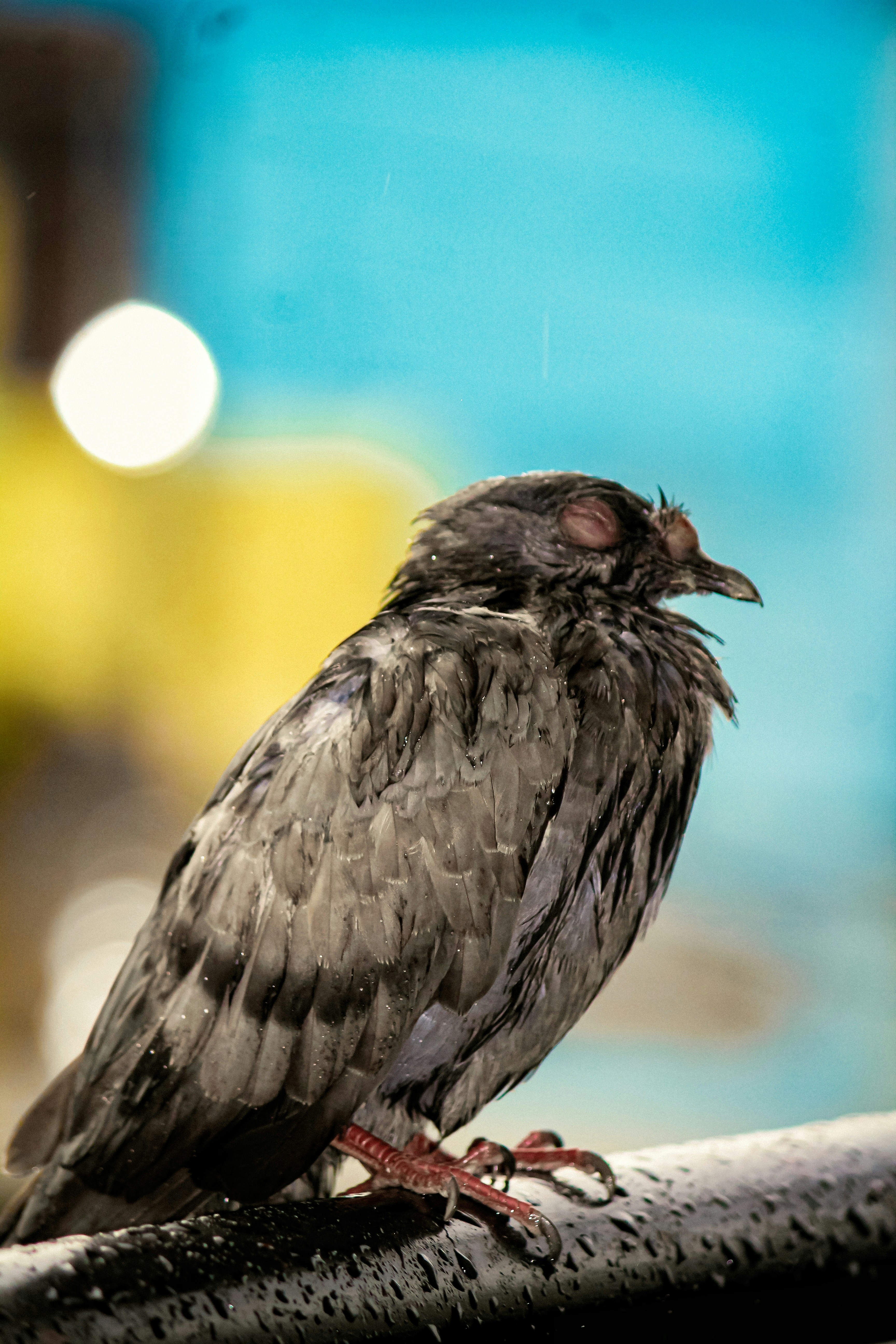 Photo by muhammad_shakir