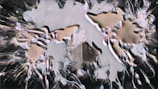 Abstract composition featuring chaotic, swirling patterns with a mix of sharp and smooth edges. The image includes elements that resemble paint splatters in various shades.