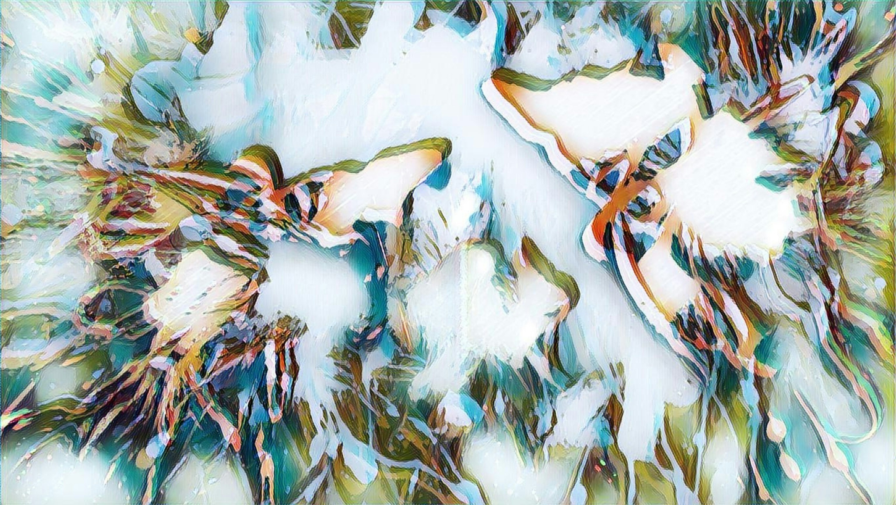 Photo by shahidreality