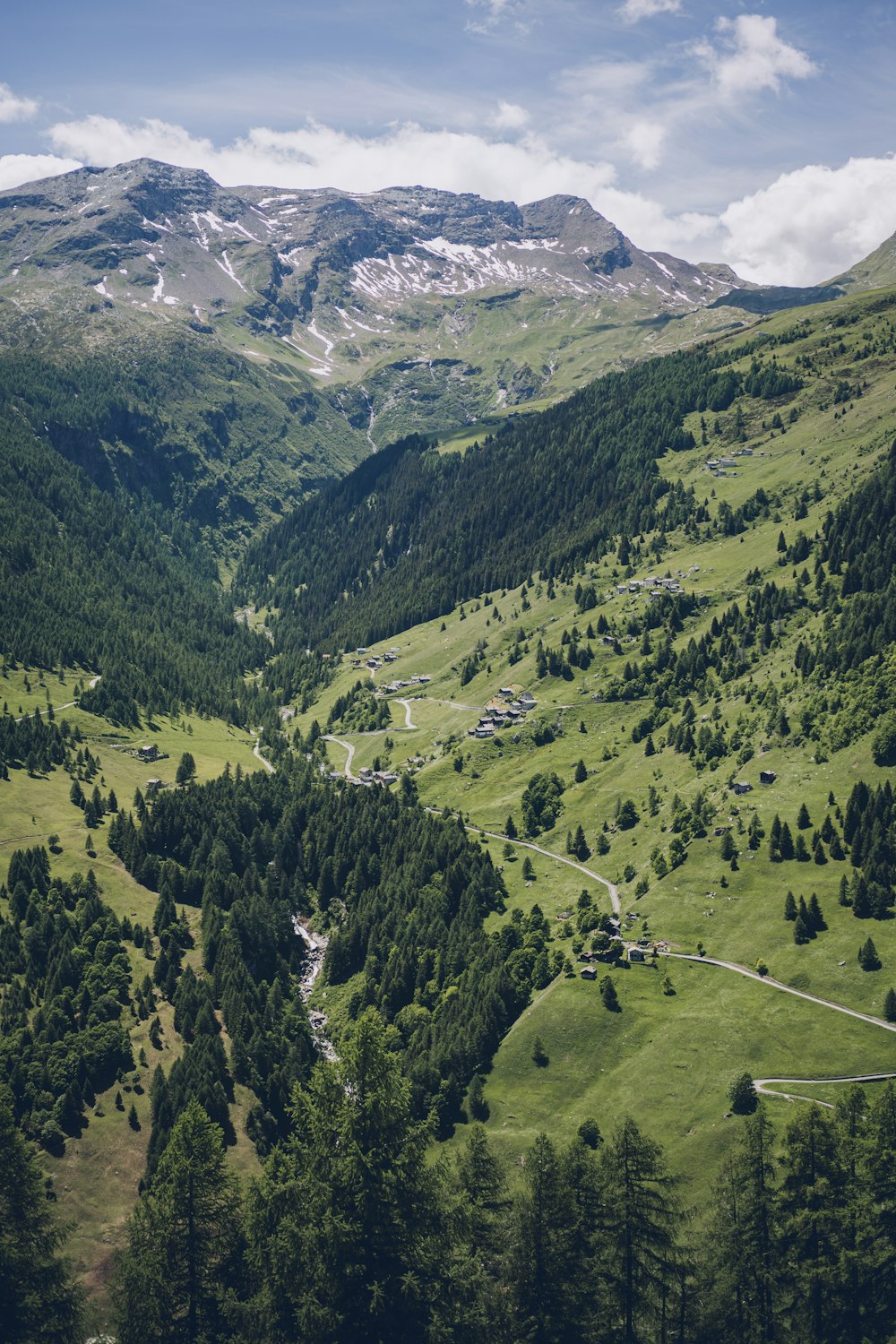 a large green valley with trees and mountains in the background