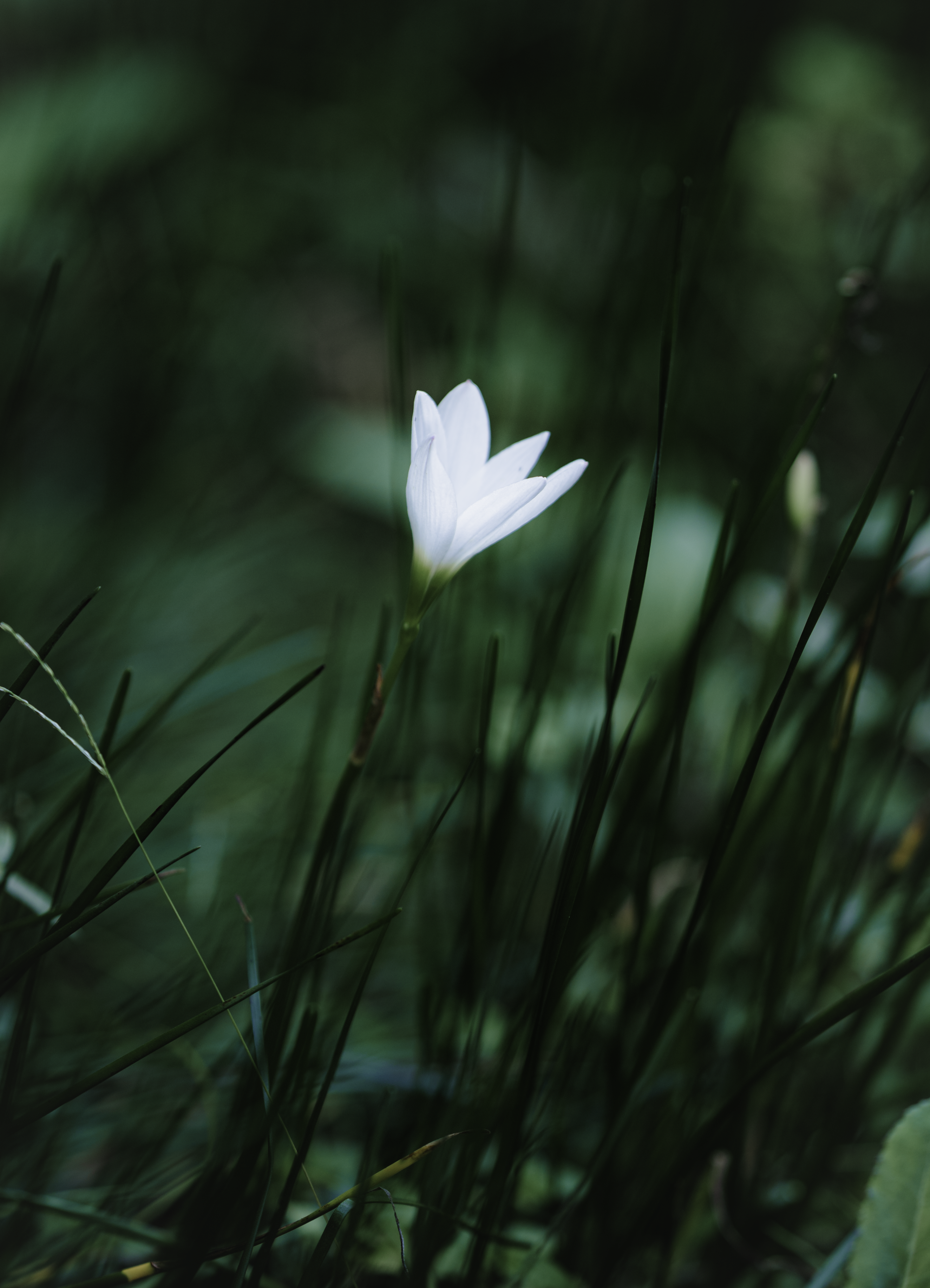 Photo by raghulselvam