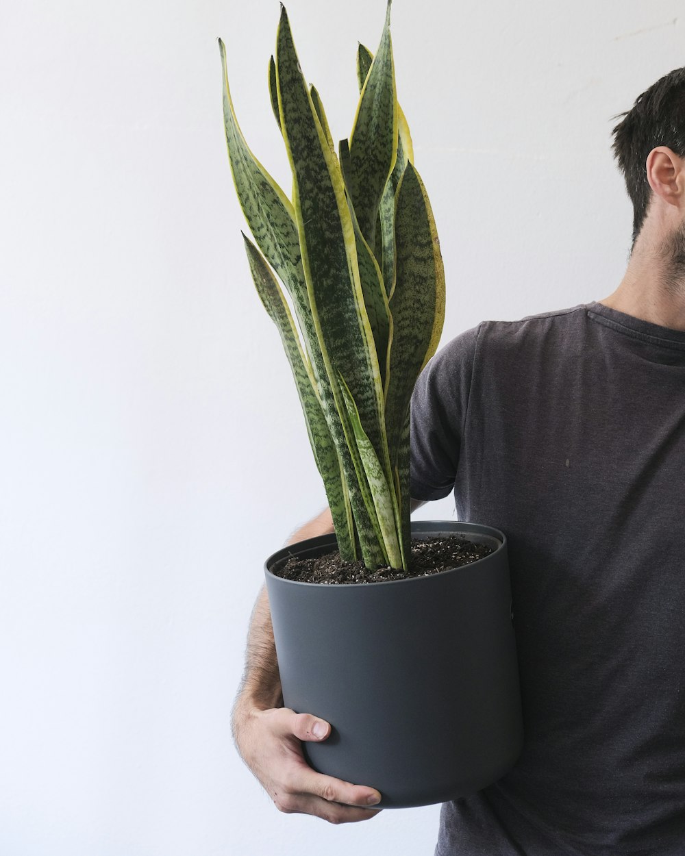 a man holding a potted cactus