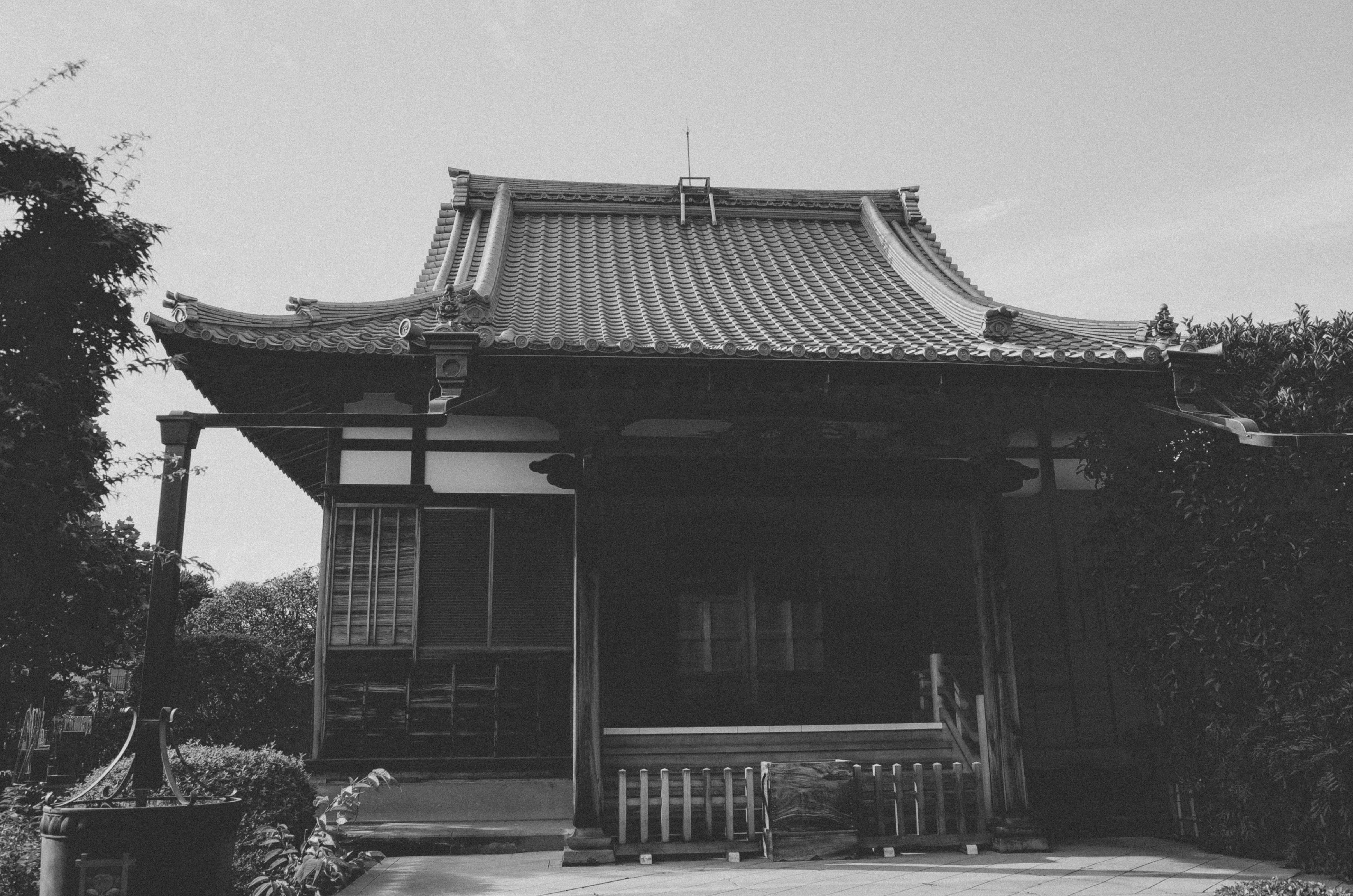 Photo by yohannlibot