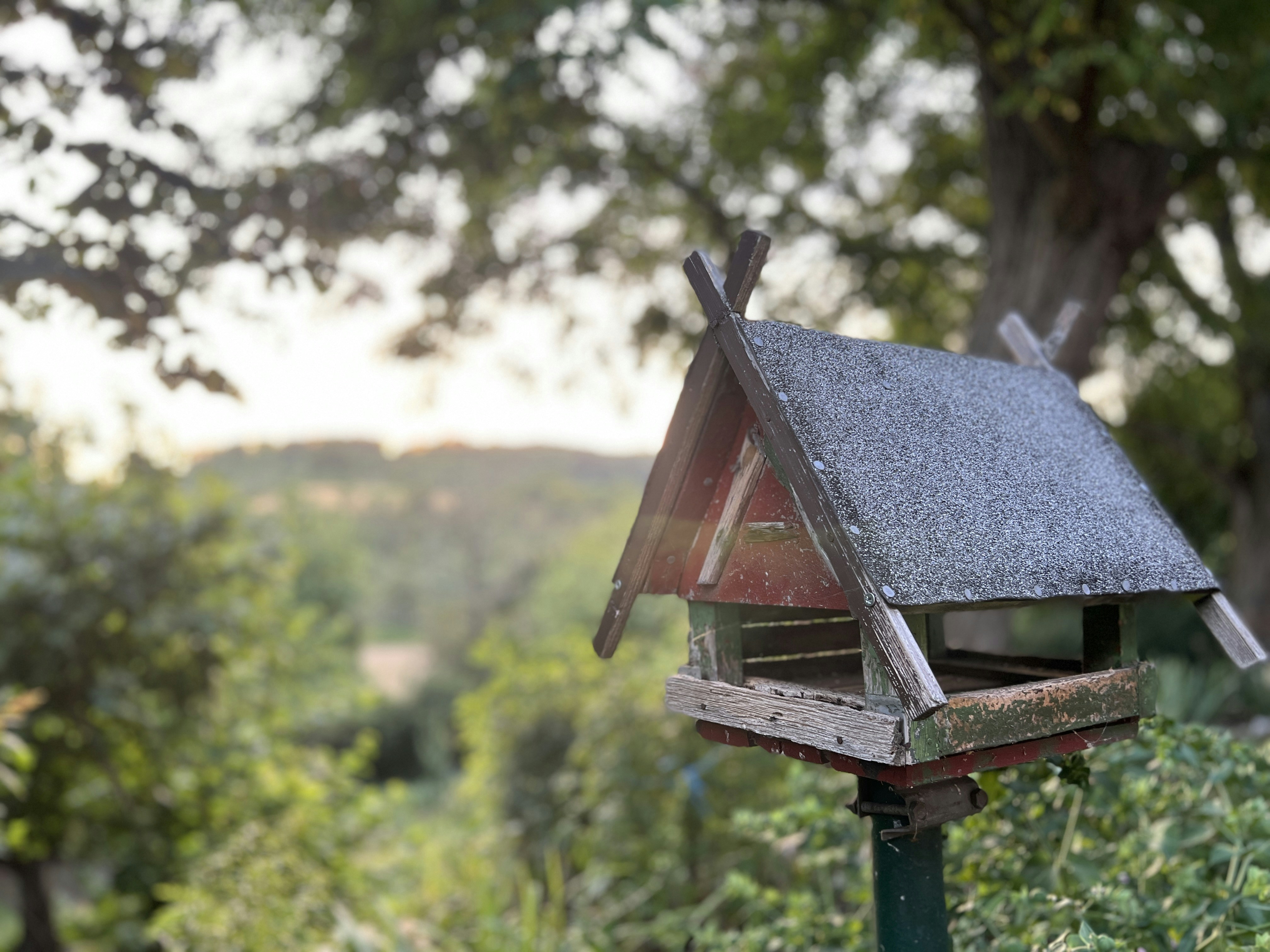 Photo by itsatheerkh