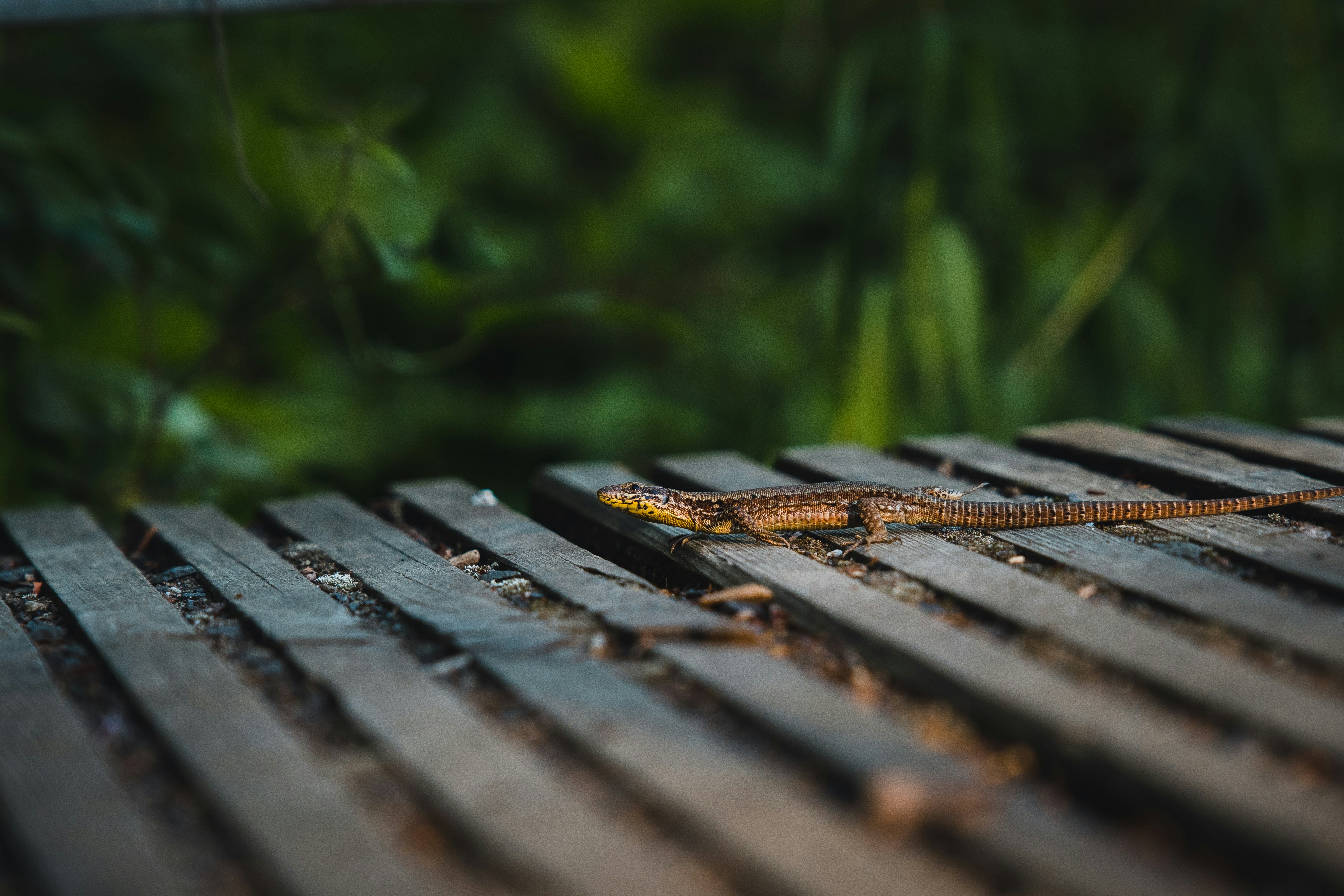 Photo by kommumikation