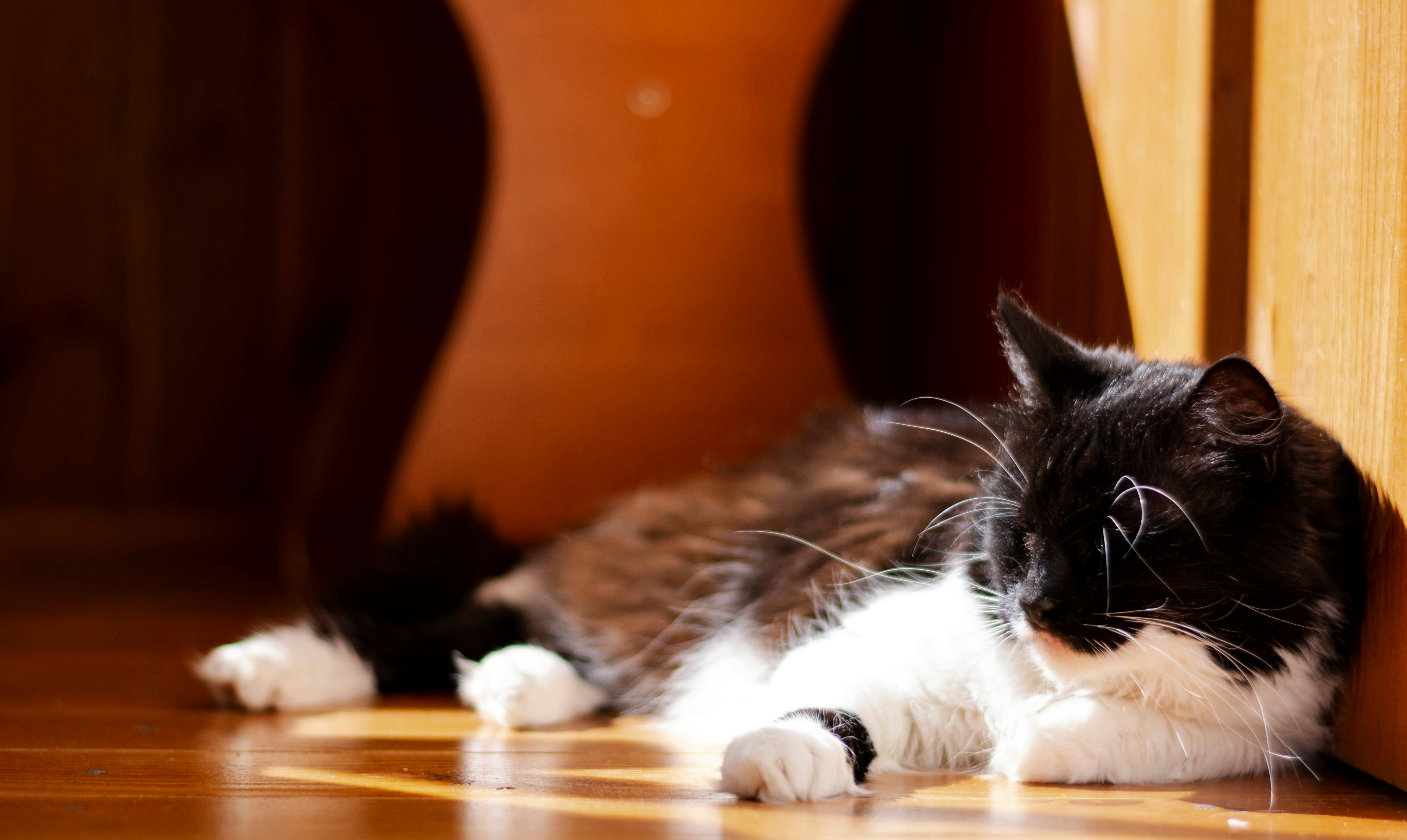 Photo by vadutskevich