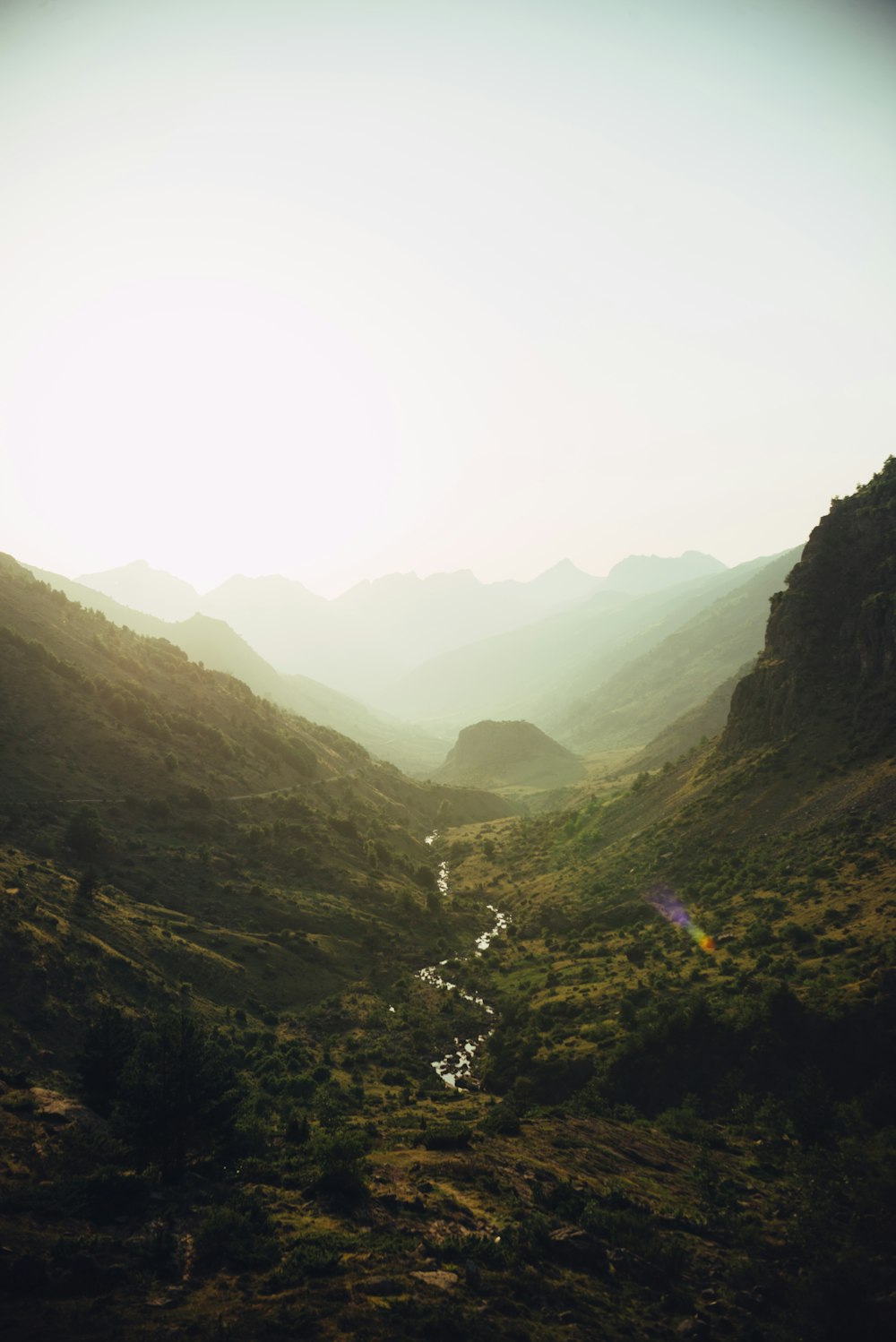 a valley with trees and hills