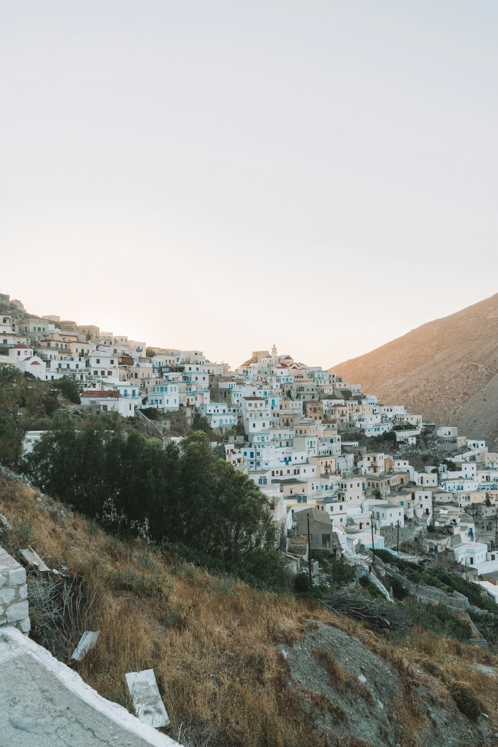 a city with trees and hills