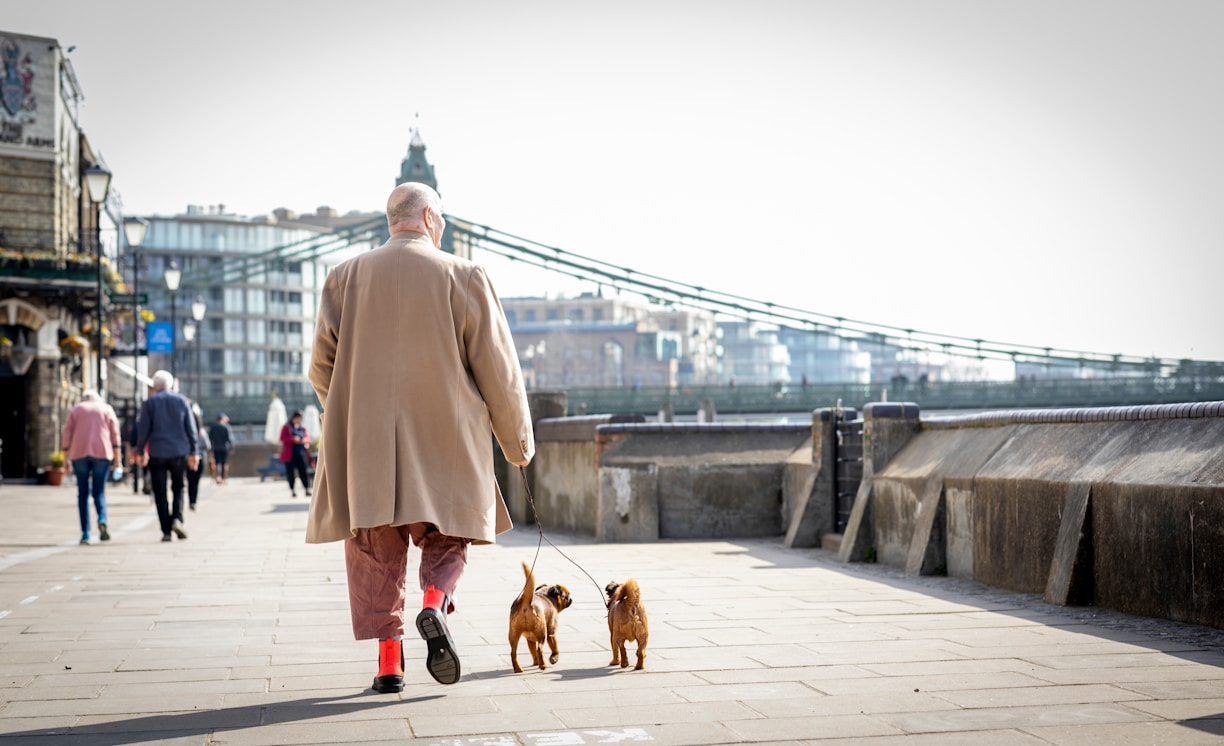 a person walking a dog