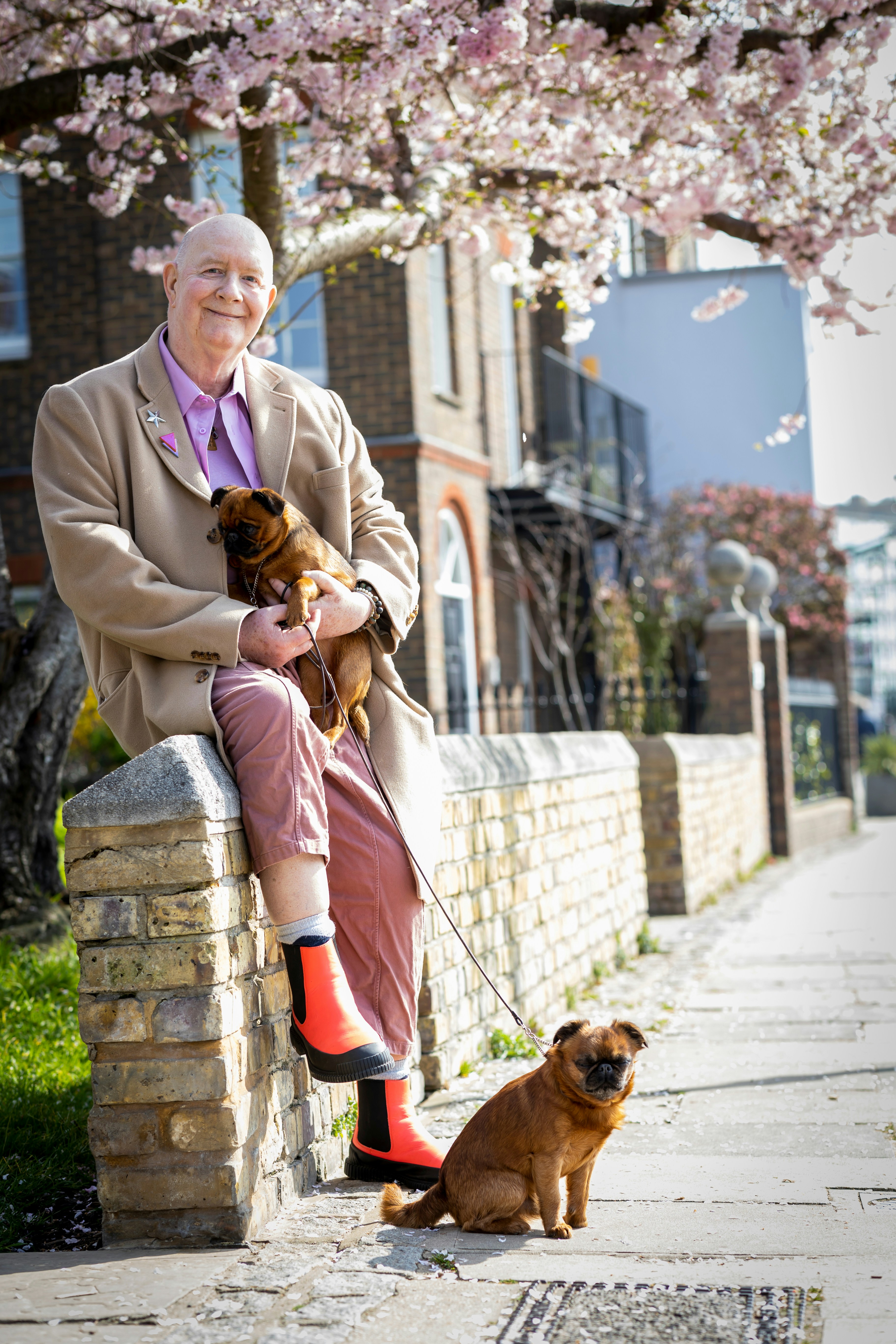 An older man walking his dogs.