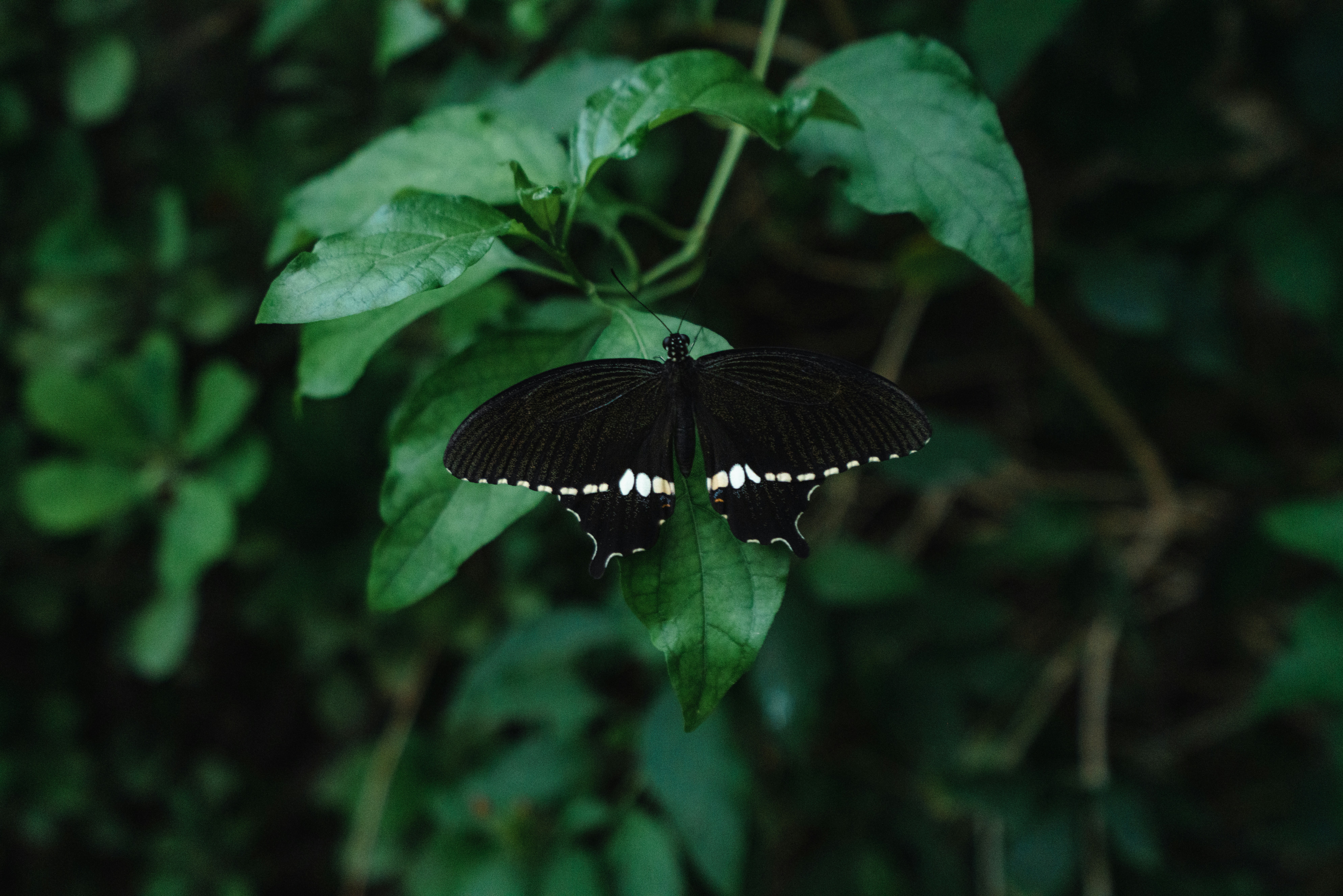 Photo by emmadmunif
