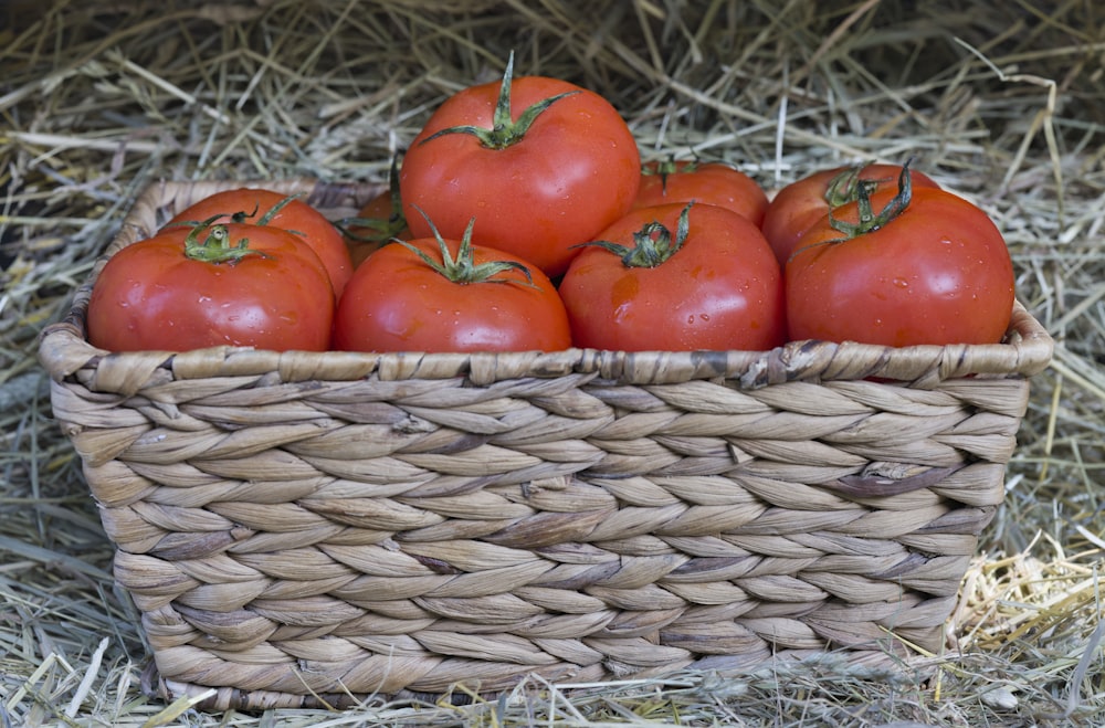 Una canasta de tomates