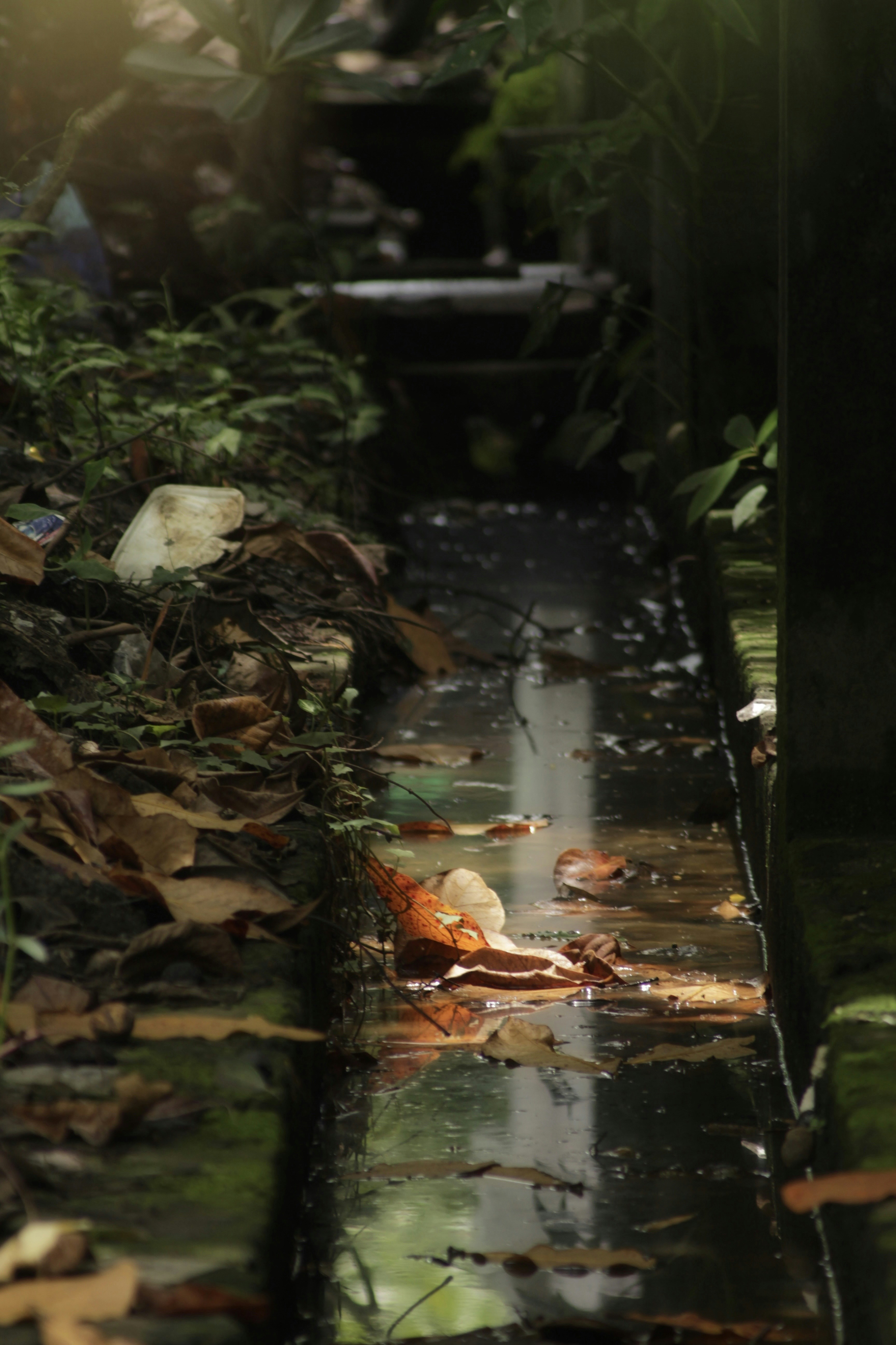 Photo by aungmyat1995