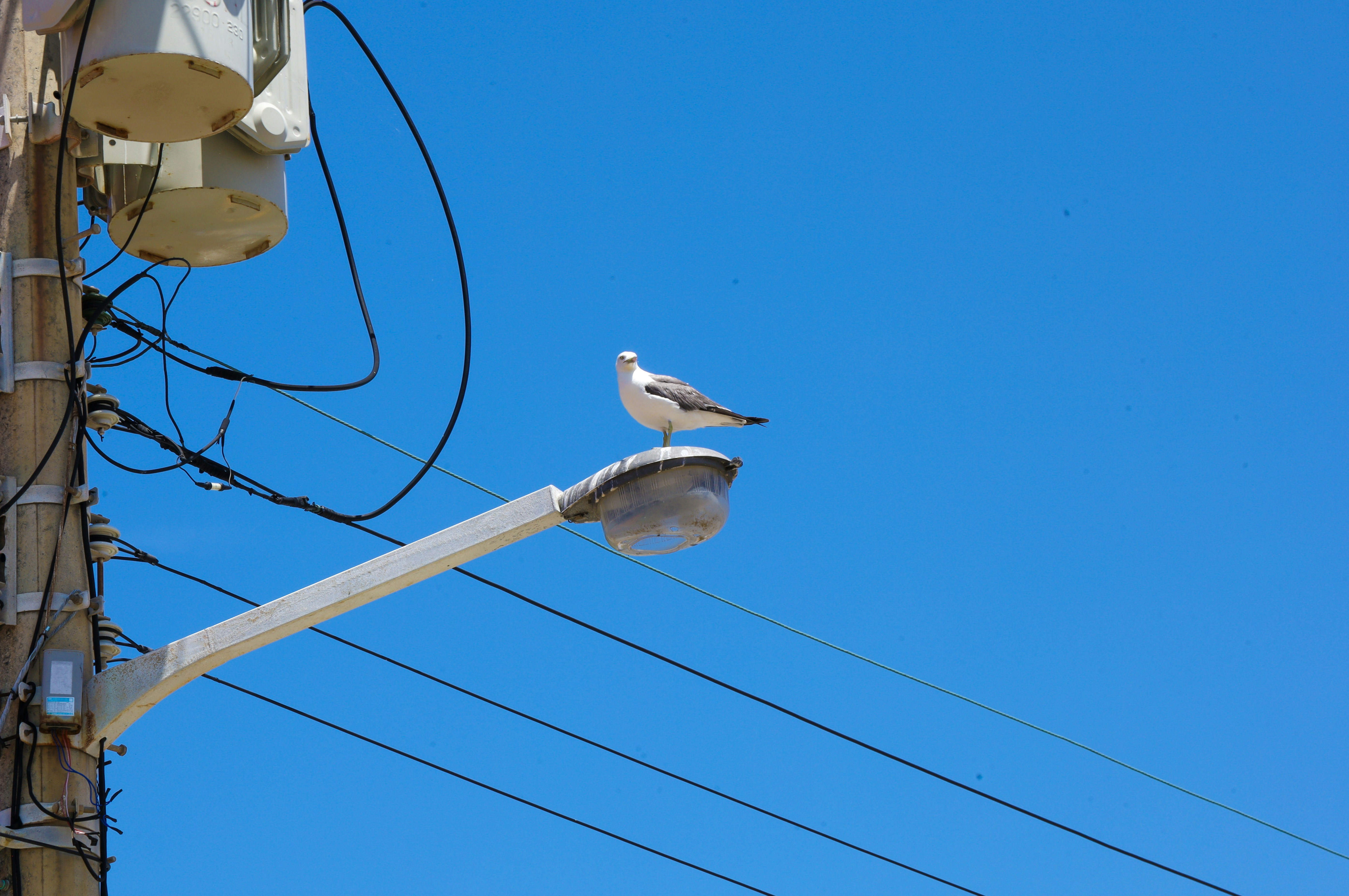 Photo by crescent_pic