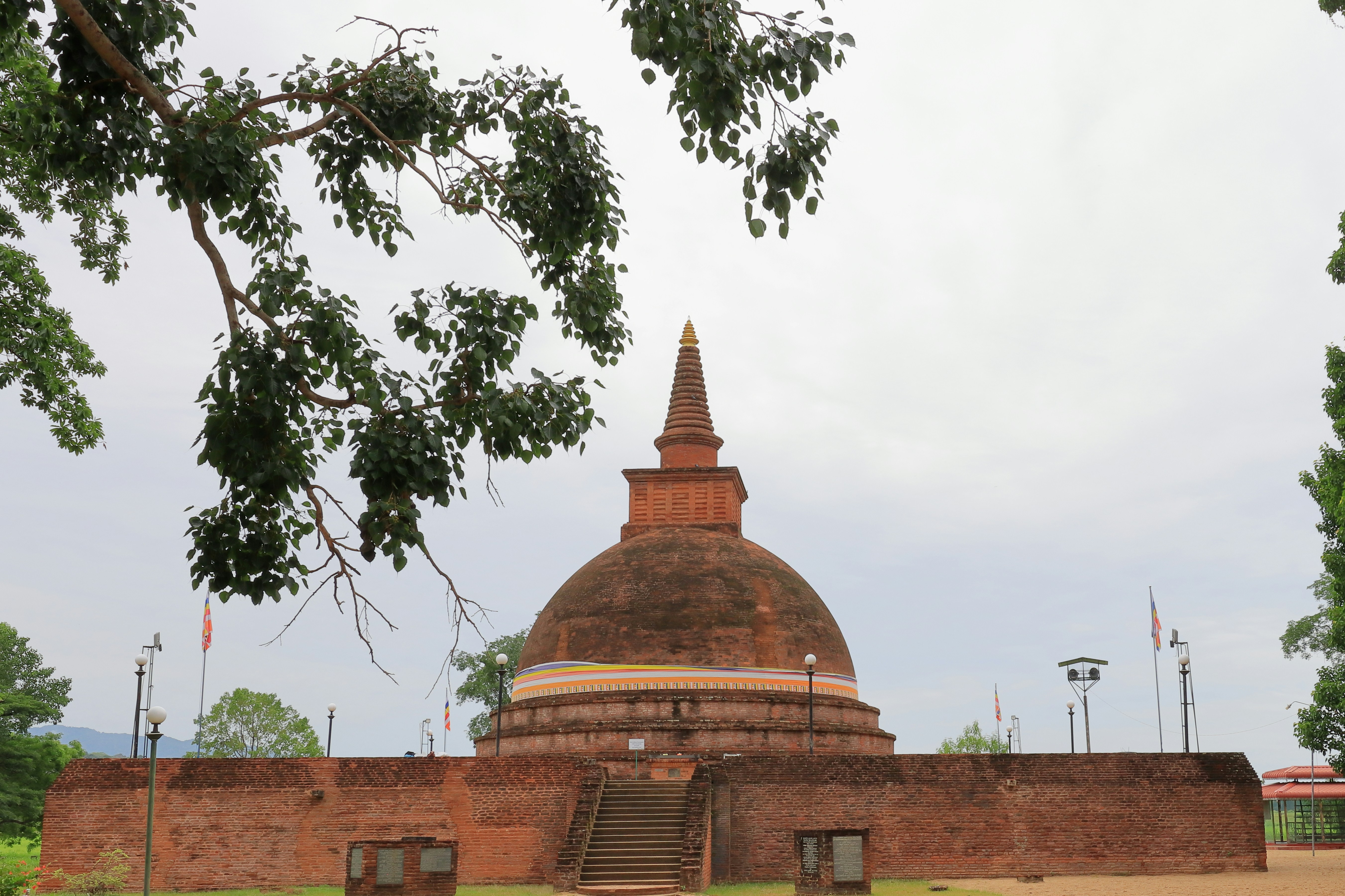 Photo by rathna_deepaya