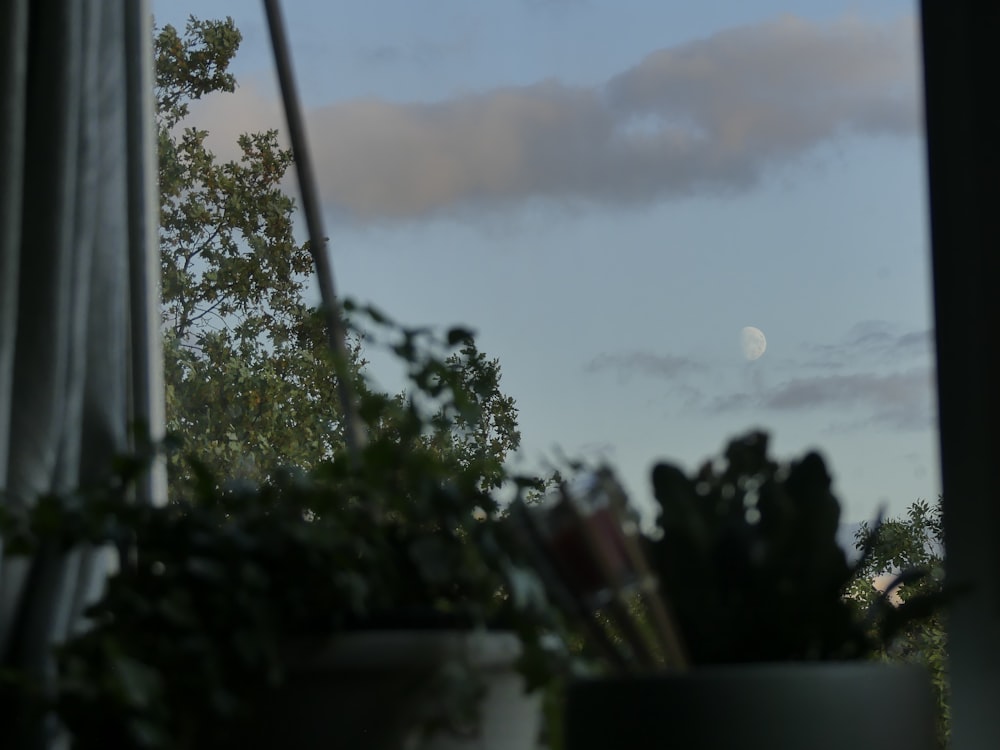 a view of the ocean from a window