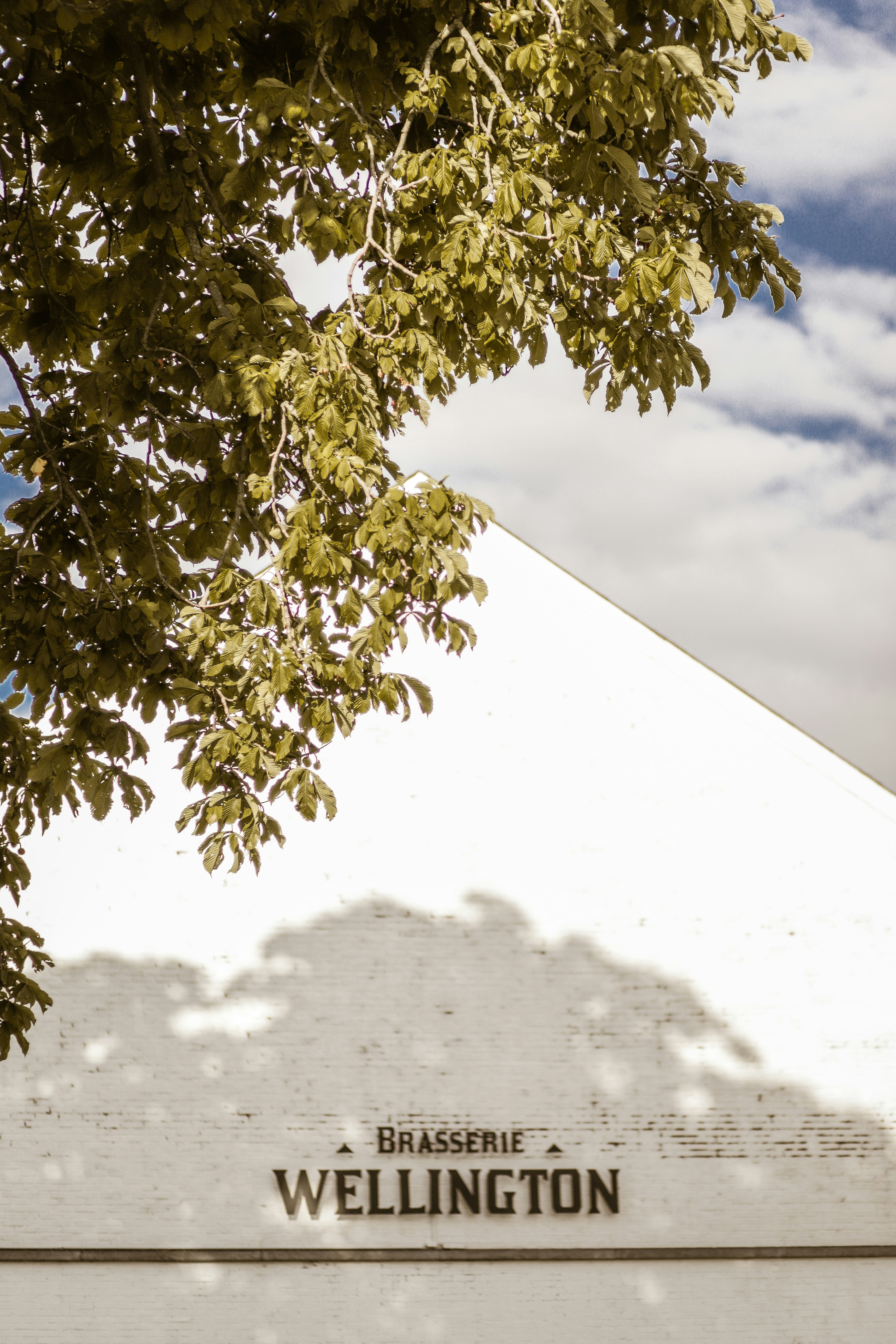 Photo by oceane_picq