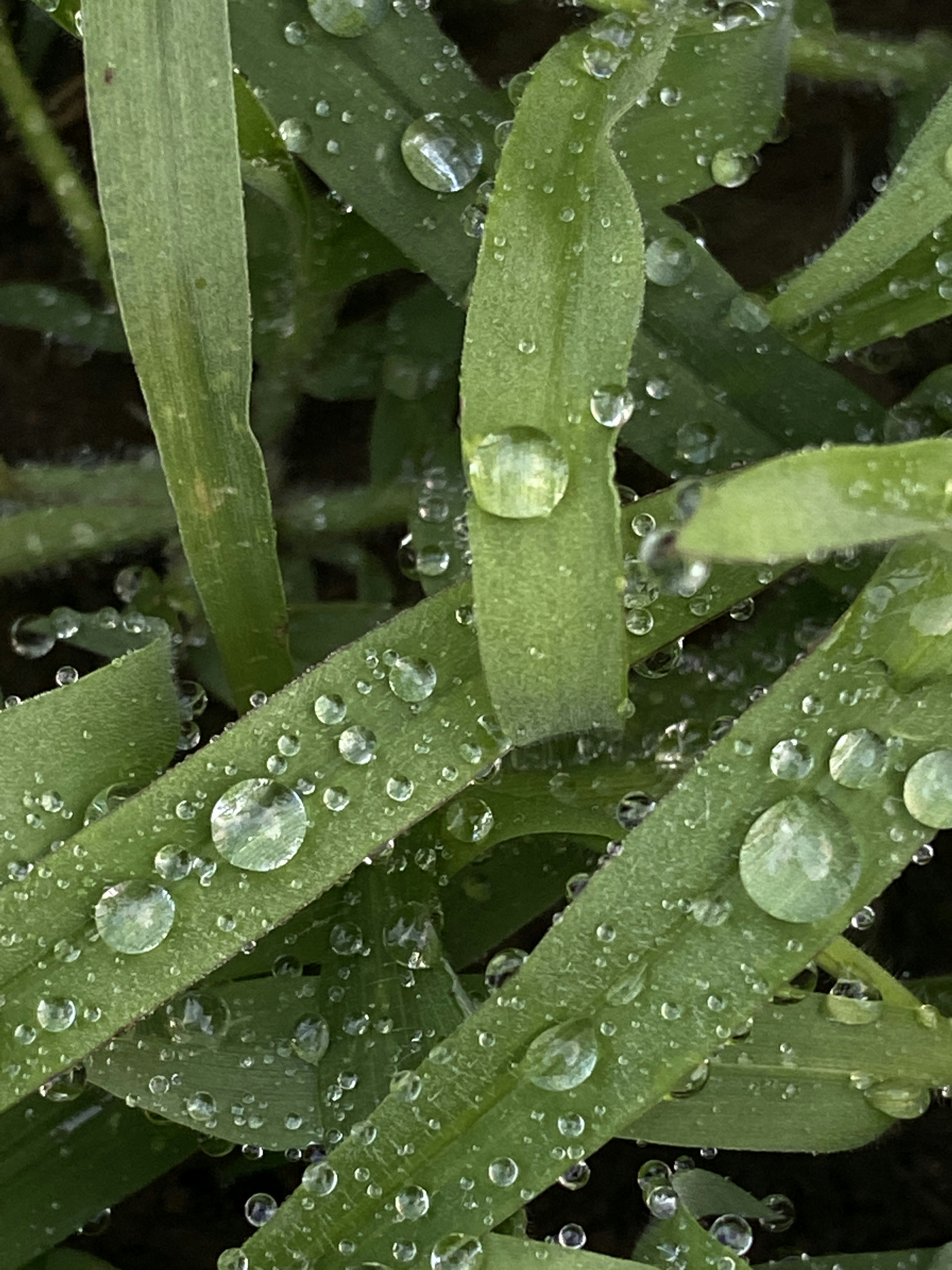 Photo by tania_kovba